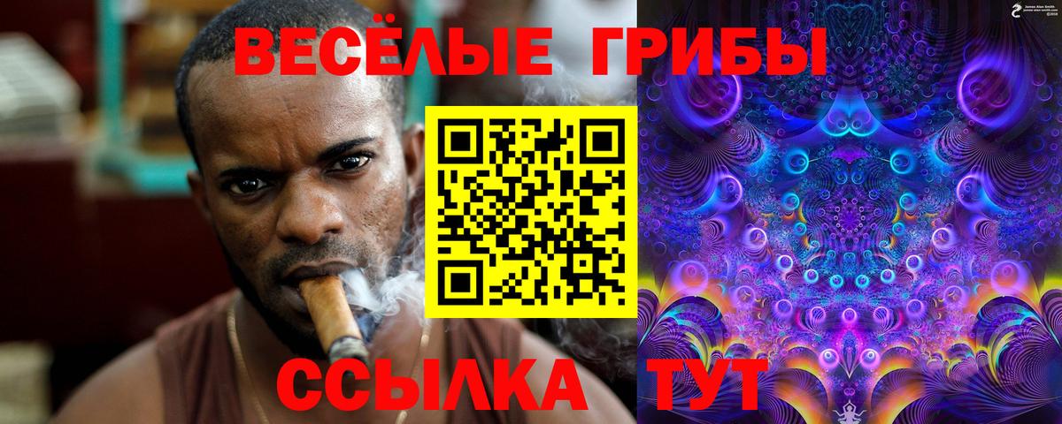 Псилоцибиновые грибы Cubensis  Псилоцибиновые грибы Psilocybe  Вход с VPN  Удомля 