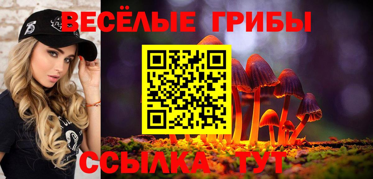 Галлюциногенные грибы MAGIC MUSHROOMS Удомля